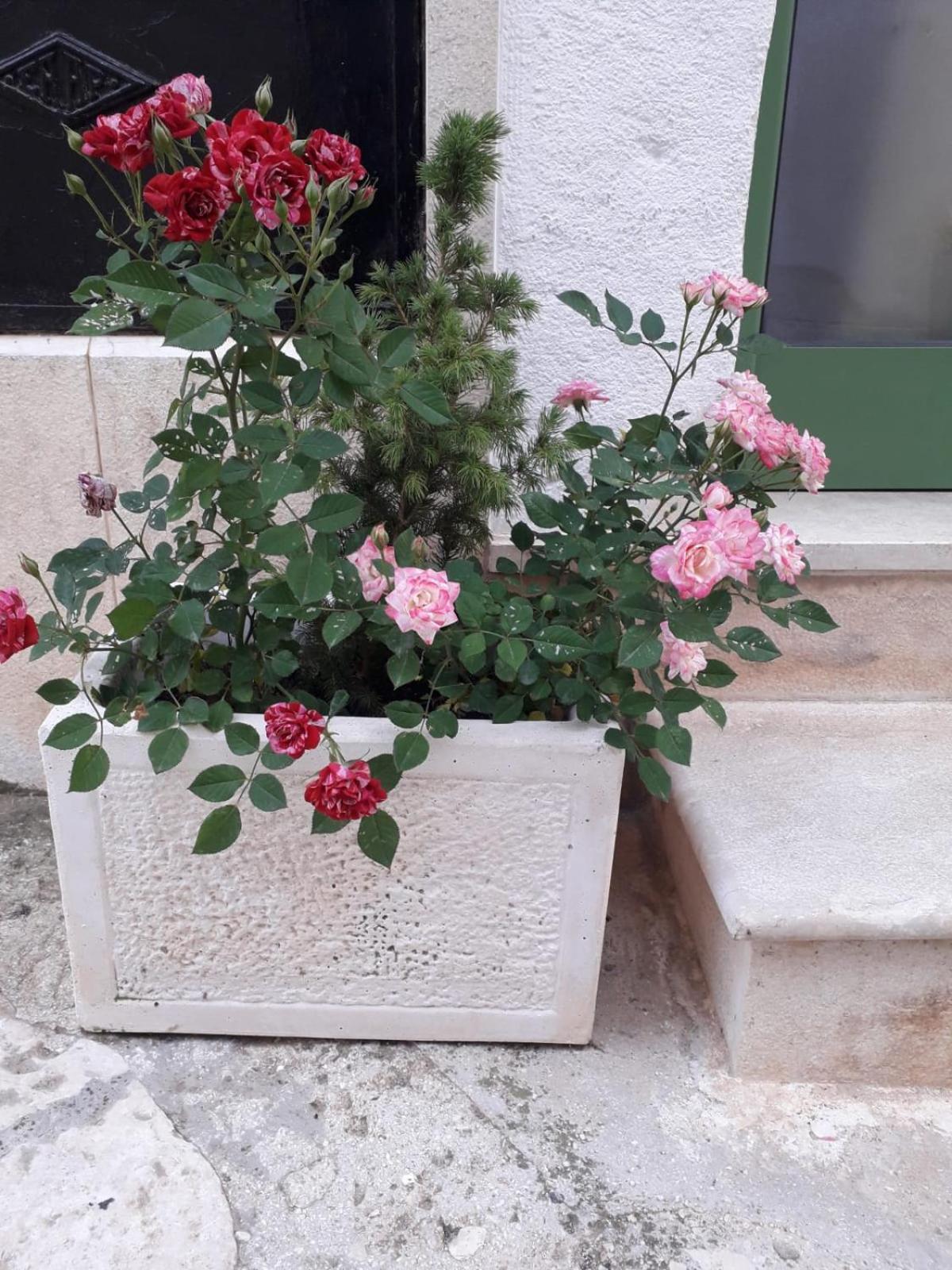Villa Le Chianche Ceglie Messapica Esterno foto